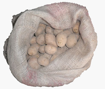 Patatas de Siembra