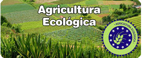Agricultura Ecologica