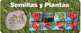 Semillas y Plantas