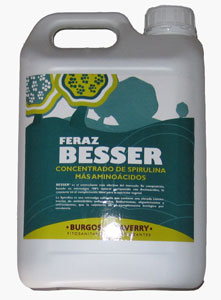 FERAZ_BESSER