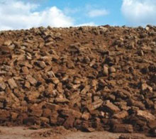 TURBA BALTICHER`S ALEMANA 250 L