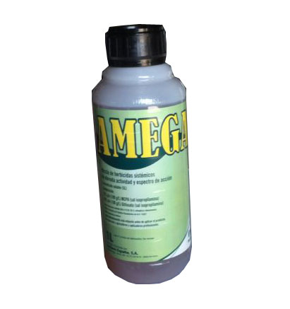 AMEGA