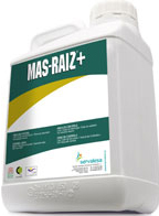 Mas-Raiz+