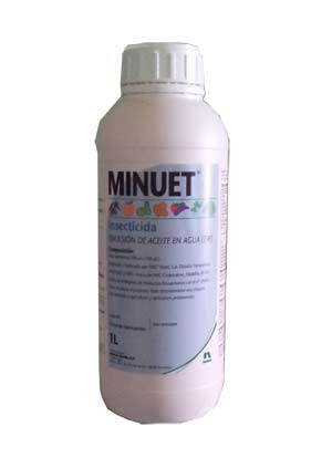 MINUET