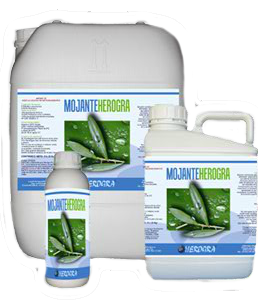 Mojante Herogra