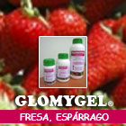 GLOMYGEL  Fresa, Espárrago.