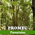 Promyc Forestales