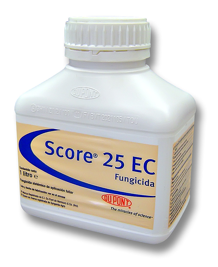 Score 25 EC