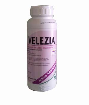 VELEZIA